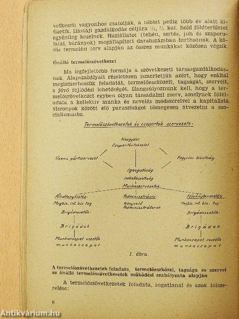 A gyümölcs- szőlőtermelés szervezése a termelőszövetkezetekben