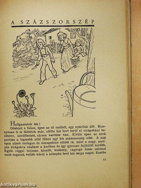 Andersen legszebb meséi