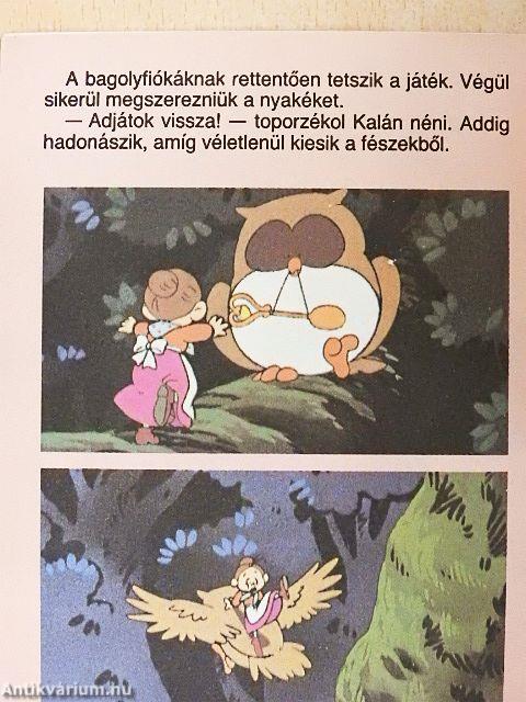 Kalán néni és a baglyok