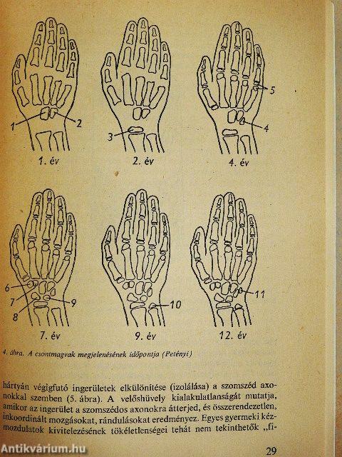 Az írástanulás pszichológiája