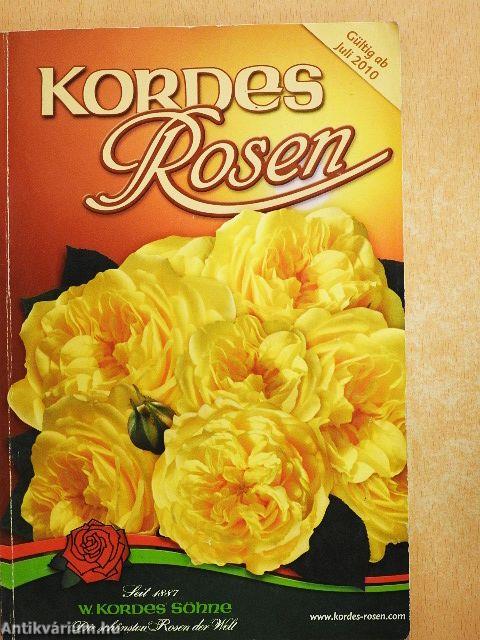 Kordes Rosen