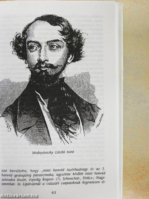 A szabadságharc pozsonyi vértanúi