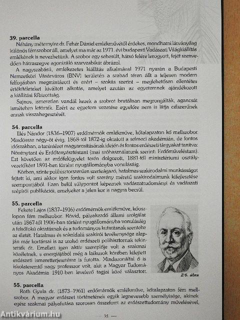 A velünk élő múlt
