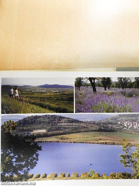 Tichon super Balatin