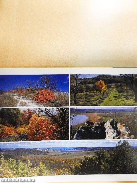 Tichon super Balatin