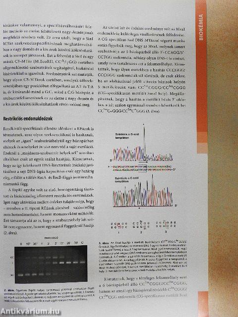 40 év a tudományért