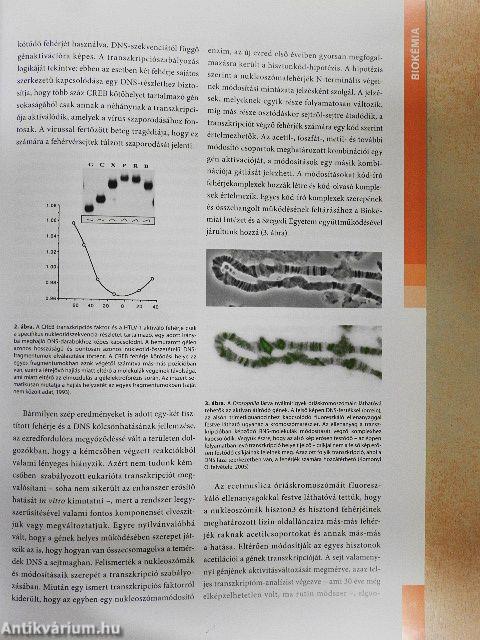 40 év a tudományért