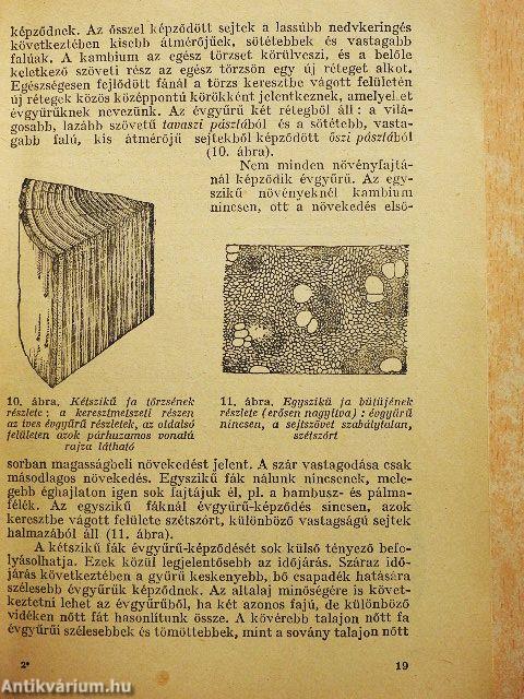 Faipari anyagismeret