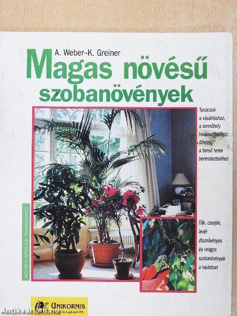 Magas növésű szobanövények