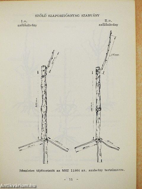 Szőlő, gyümölcs, díszfaiskolai árjegyzék 1976 ősz - 1977 tavasz