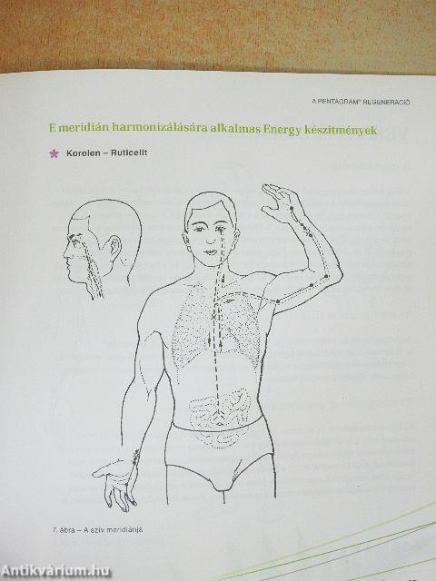 A Pentagram regeneráció