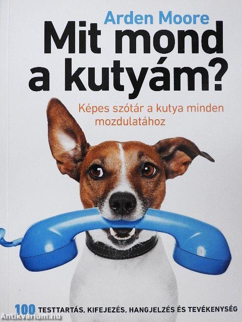 Mit mond a kutyám?