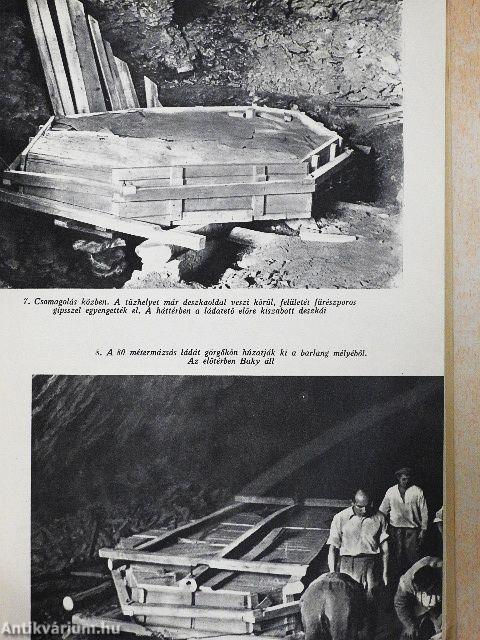 Medveemberek krónikája