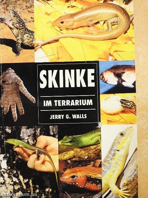 Skinke im Terrarium