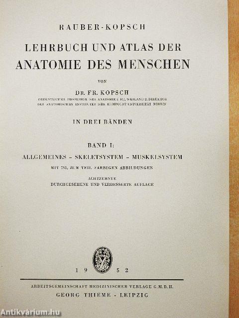 Lehrbuch und Atlas der Anatomie des Menschen I.