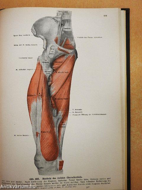 Lehrbuch und Atlas der Anatomie des Menschen I.