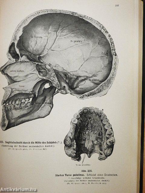 Lehrbuch und Atlas der Anatomie des Menschen I.