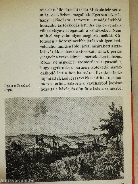 Így élt Déryné