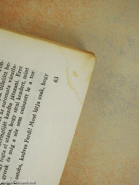 Szerelmes muzsikusok