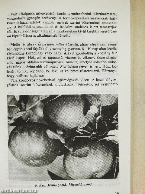 Nyári gyümölcsök termesztése