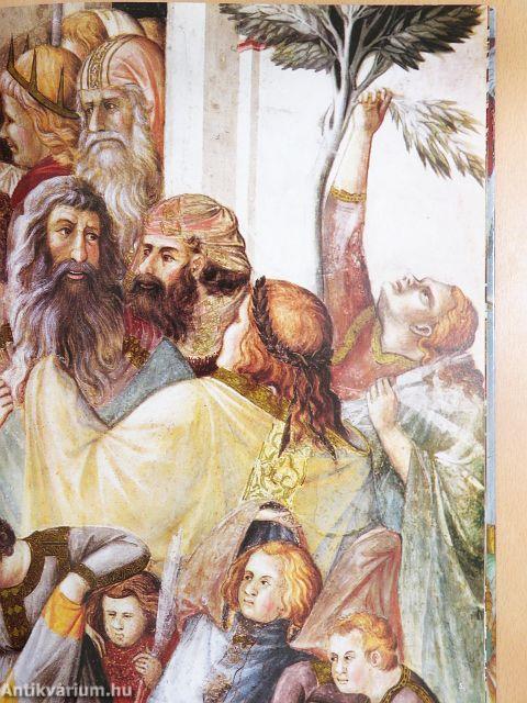 Pietro Lorenzetti ad Assisi