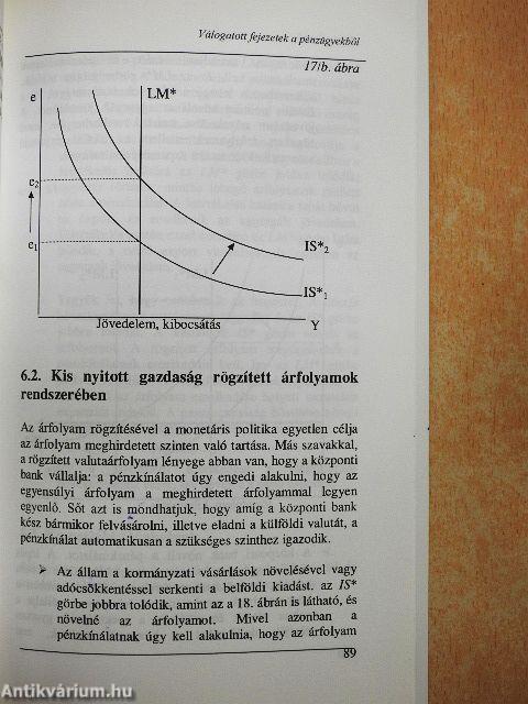 Válogatott fejezetek a pénzügyekből