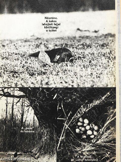 Élet és Tudomány 1975-1976. (vegyes számok) (13 db)