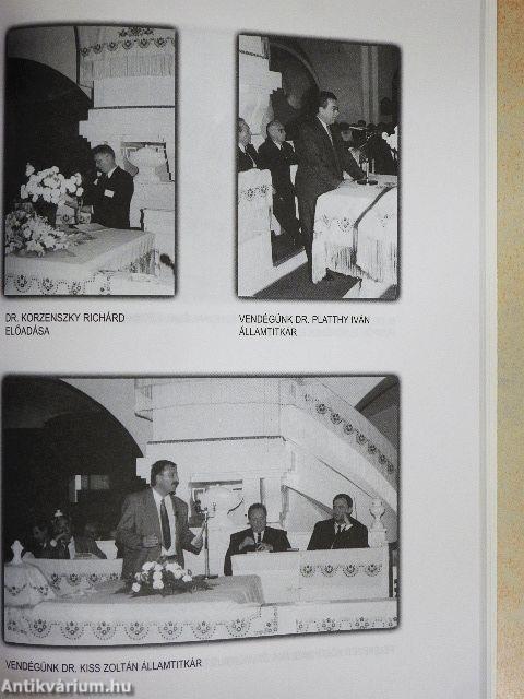 A visszaforrt ág kivirágzik 1992-2000