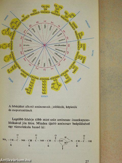 Az élet keletkezése