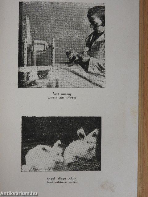 Az angóranyúl-tenyésztés kézikönyve