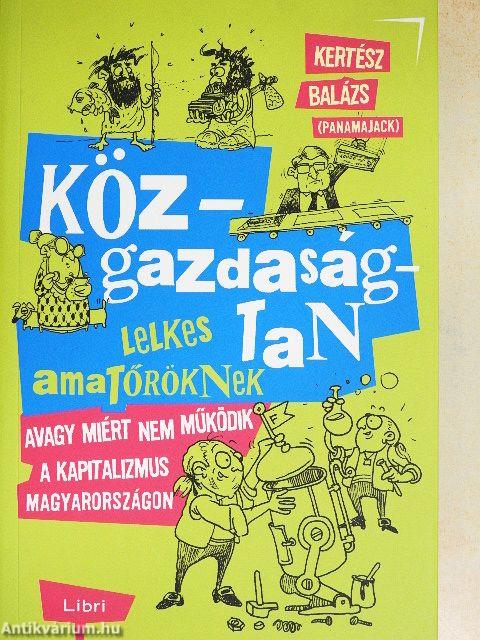 Közgazdaságtan lelkes amatőröknek