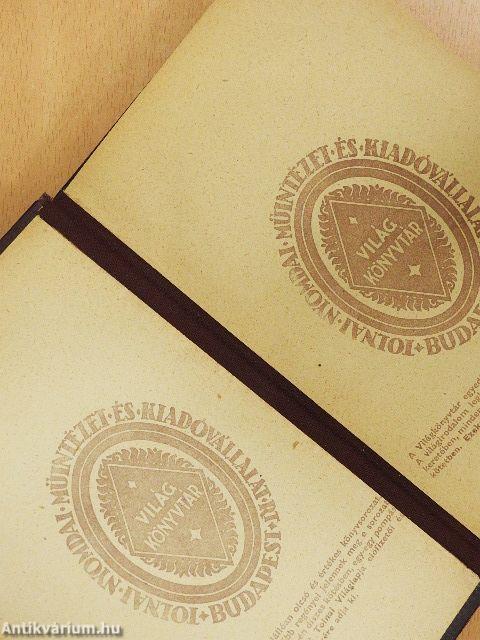 Vihar Patricia körül