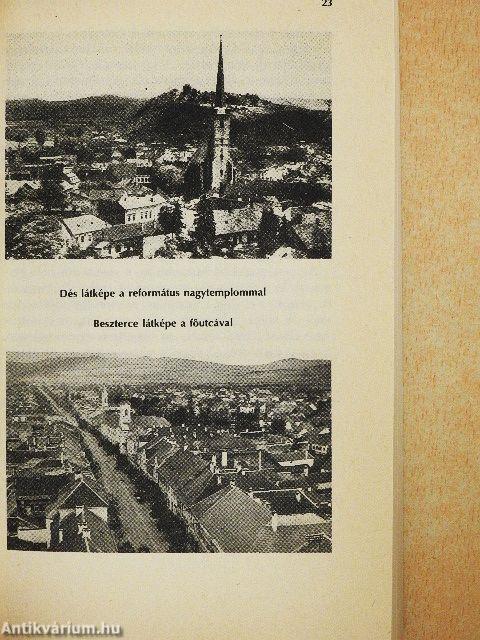 Észak-Erdély kormánybiztosa voltam