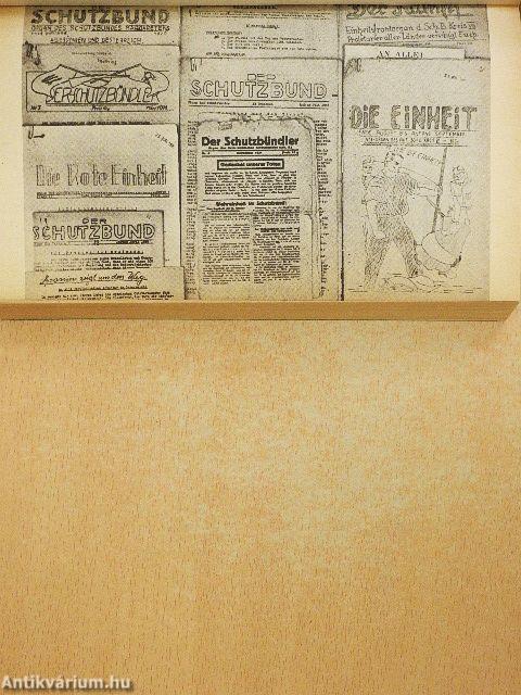 Bécs - 1934 - Schutzbund