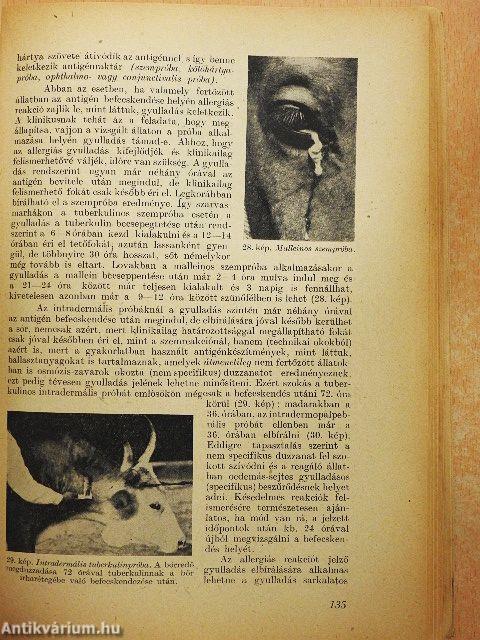 Állatorvosi bakteriológia, immunitástan és általános járványtan