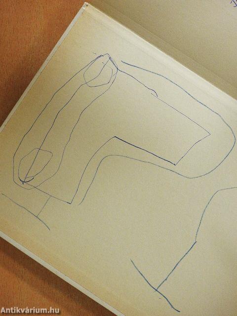 Szomorú martalóc balfogásai