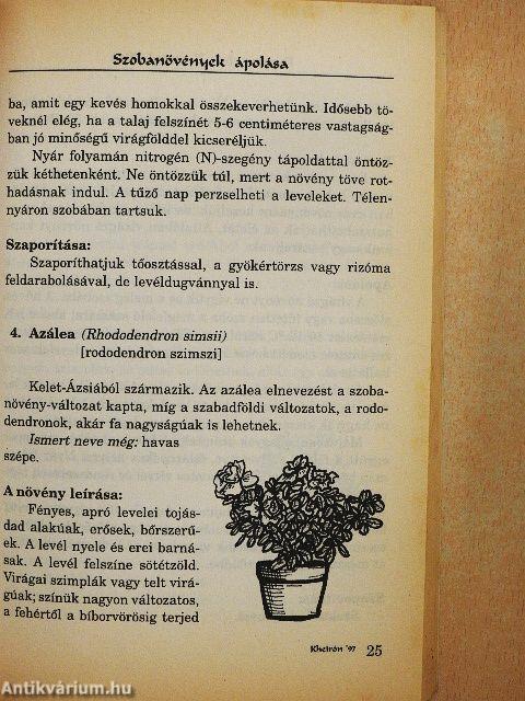 Szobanövények ápolása