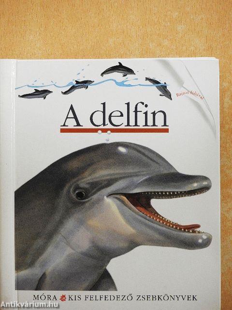 A delfin