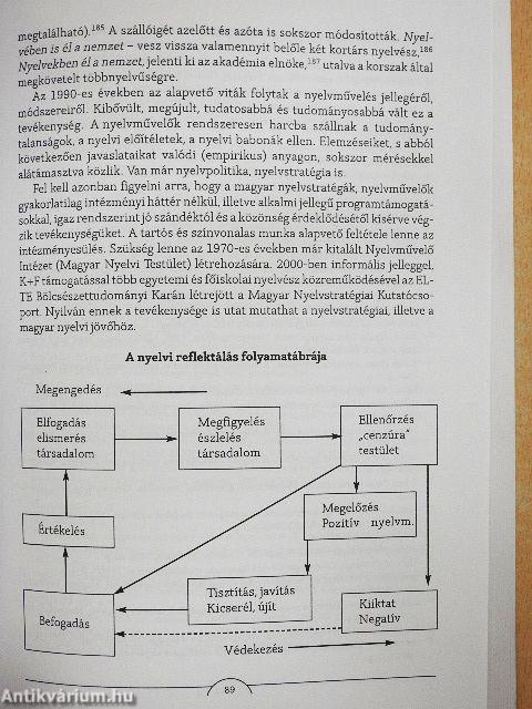 Magyar nyelvstratégia