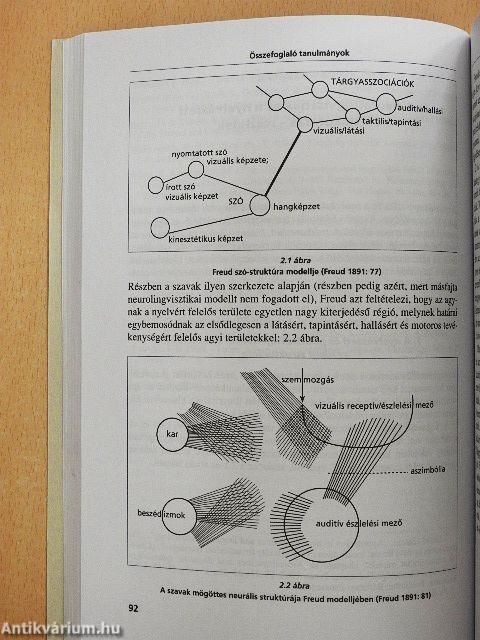 Nyelvi struktúrák és az agy