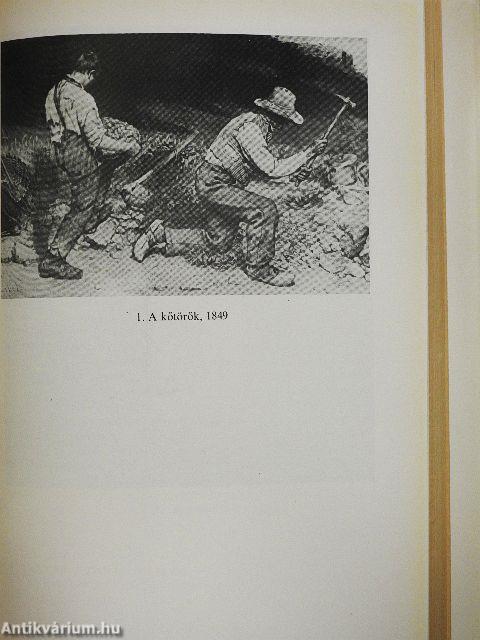 A ledöntött oszlop