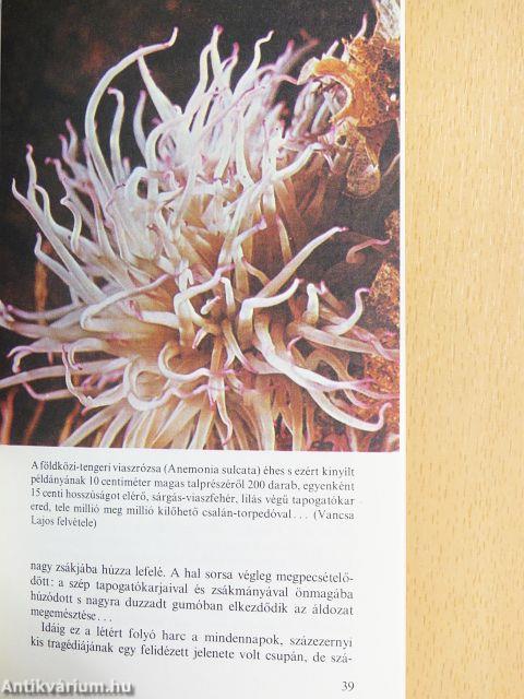 A természet szabadalmai