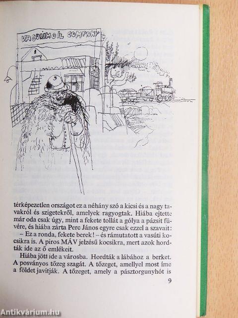 Vitorlás a berken