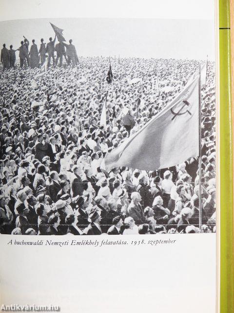 Akasztófa és amnesztia