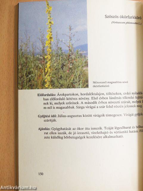 Ha már a gyógyszerek nem segítenek....
