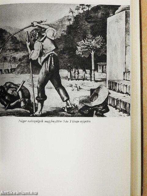 Egy rendkívüli asszony élete