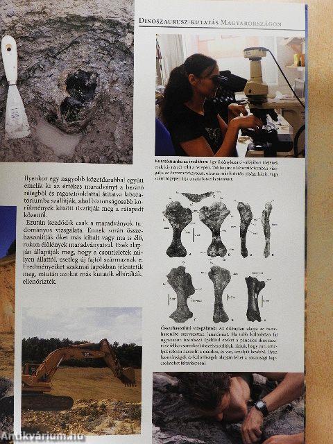 A bakonyi dinoszauruszok csodálatos világa