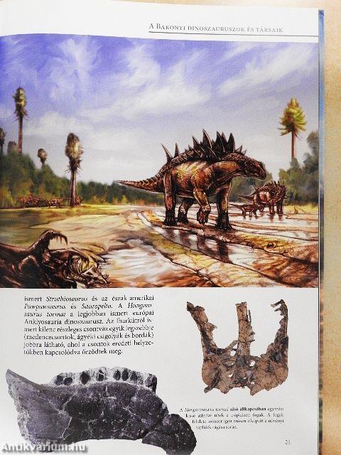 A bakonyi dinoszauruszok csodálatos világa
