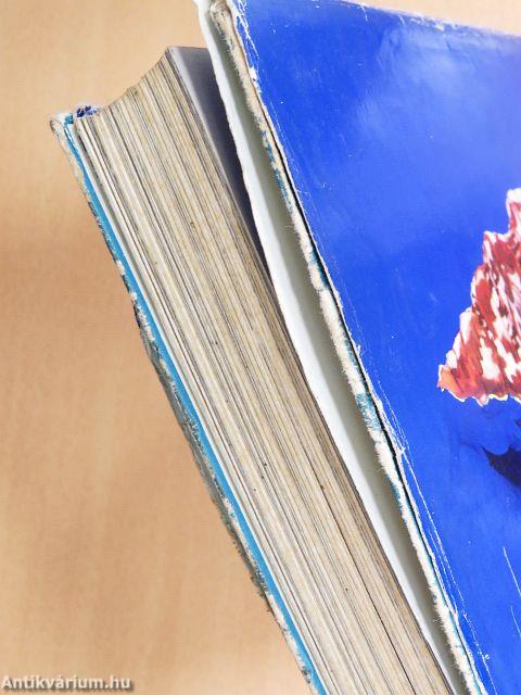 Fiúk-lányok könyve 1977.