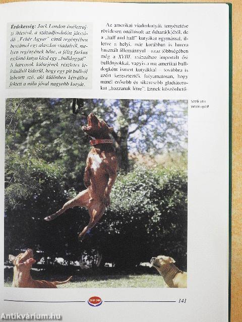 Bulldog enciklopédia